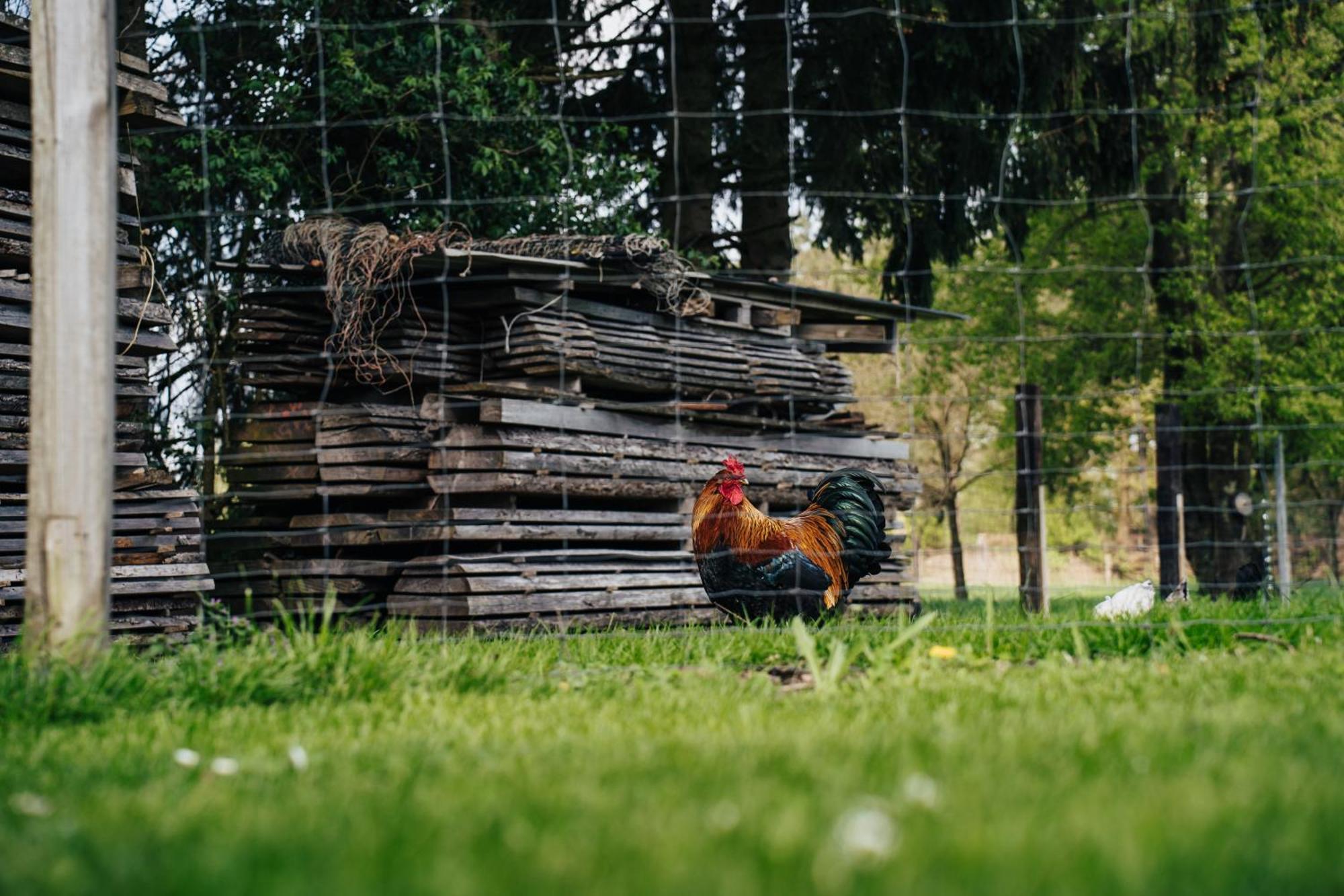 Ferienhaus Getreidesilo Schneverdingen Zewnętrze zdjęcie
